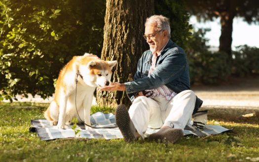 in che modo gli animali migliorano la vita degli anziani